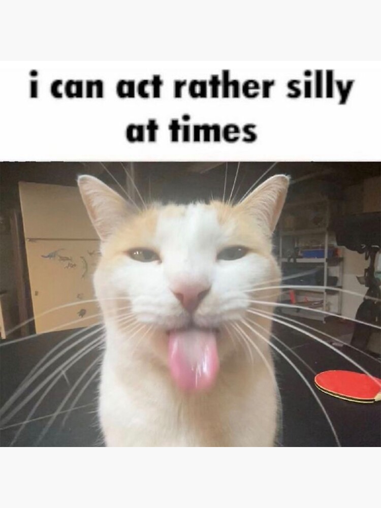 Silly Cat